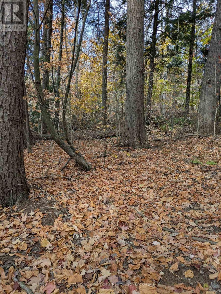 0 118 Highway E, Bracebridge, Ontario  P1L 1X1 - Photo 21 - X12465750