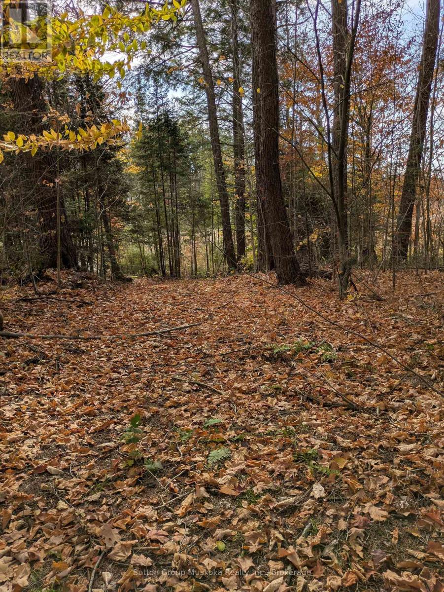 0 118 Highway E, Bracebridge, Ontario  P1L 1X1 - Photo 3 - X12465750