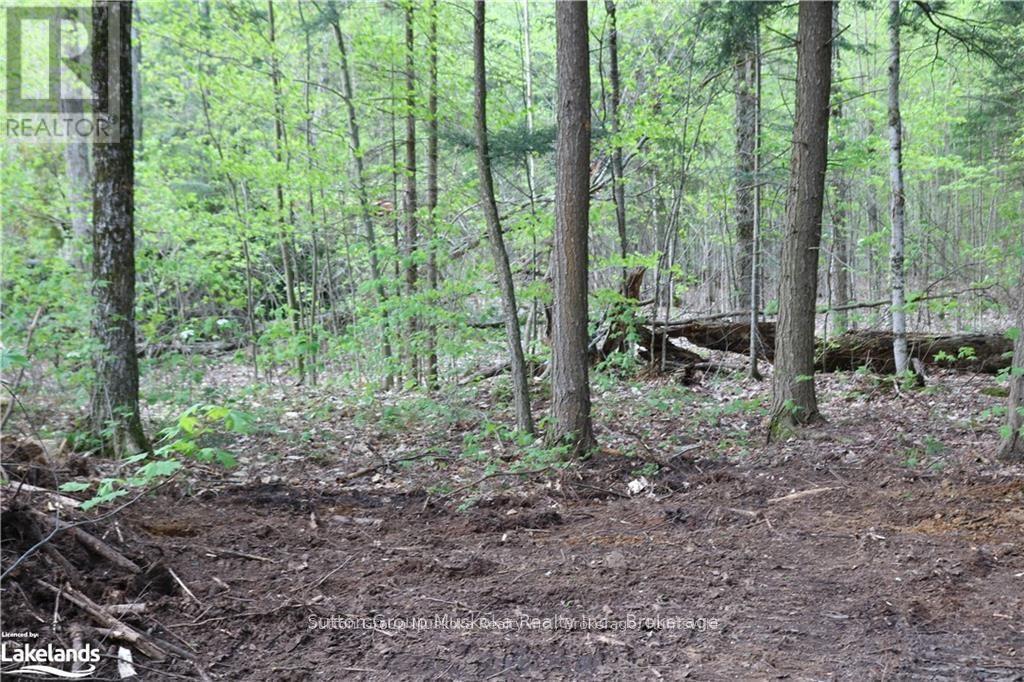 0 118 Highway E, Bracebridge, Ontario  P1L 1X1 - Photo 4 - X12465750