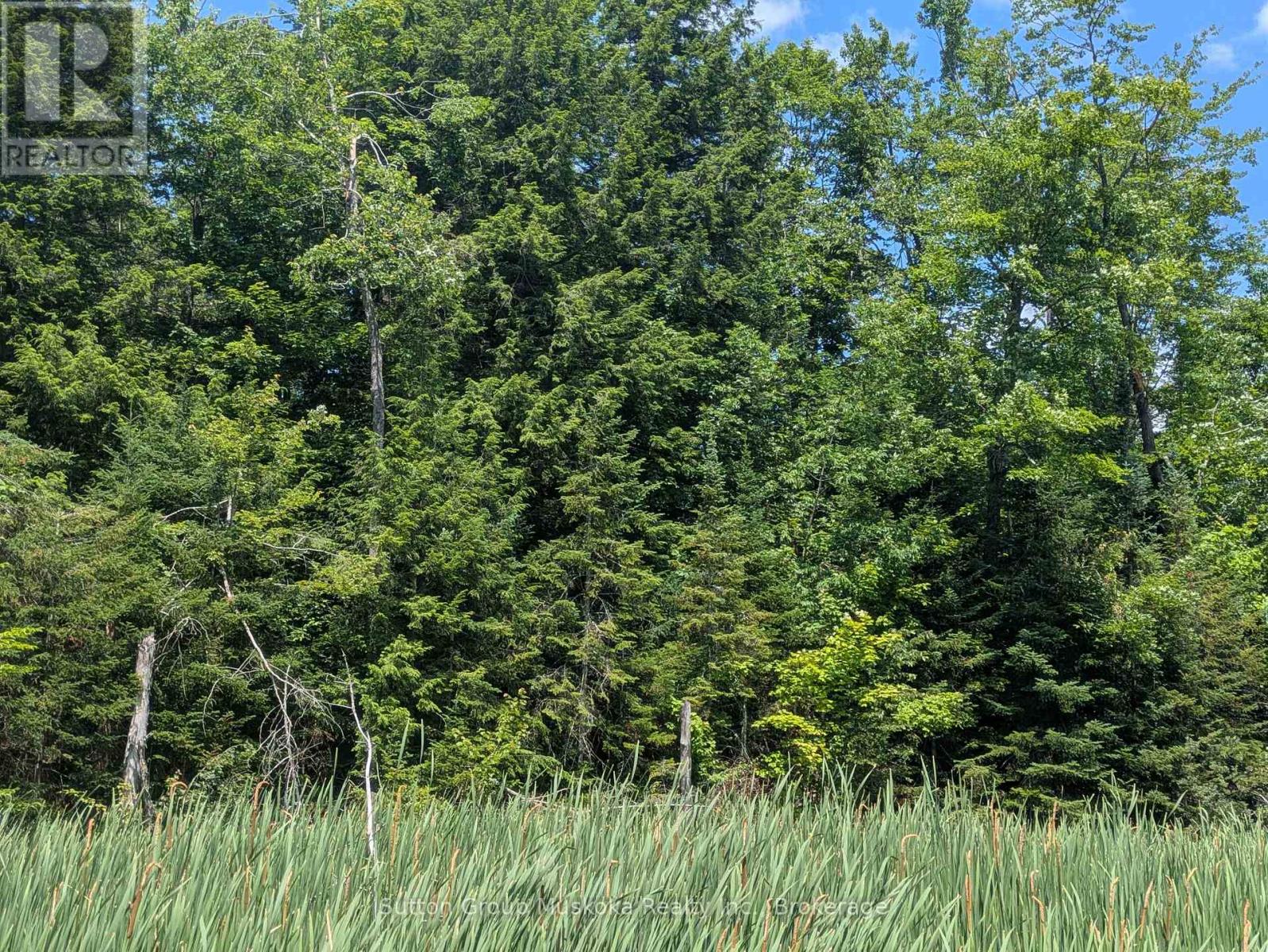 0 118 Highway E, Bracebridge, Ontario  P1L 1X1 - Photo 7 - X12465750