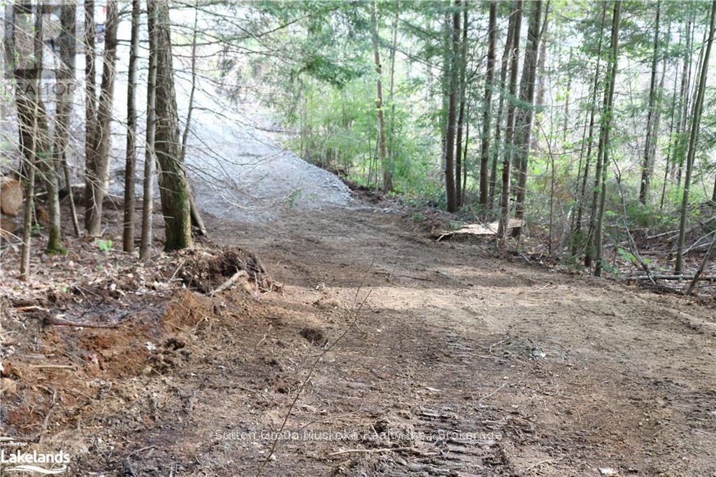 0 118 Highway E, Bracebridge, Ontario  P1L 1X1 - Photo 9 - X12465750