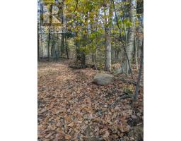 0 118 HIGHWAY E, Bracebridge, Ontario