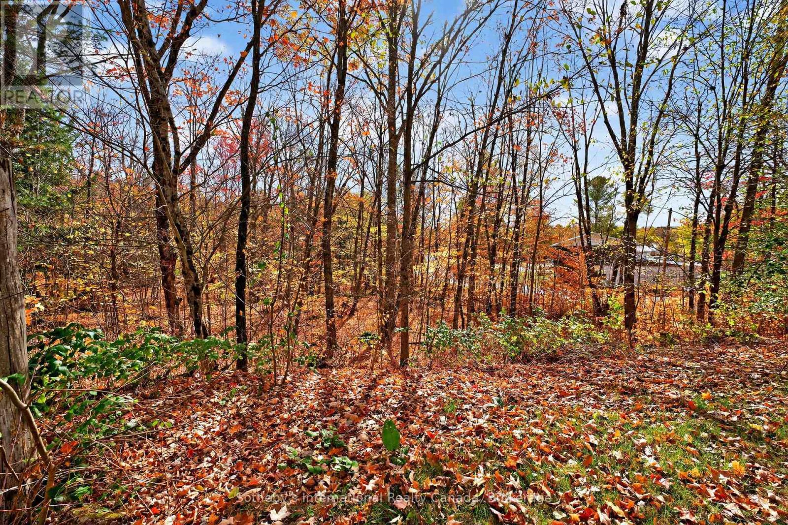 1132 Limberlost Road, Lake Of Bays, Ontario  P1H 2J6 - Photo 15 - X12468388