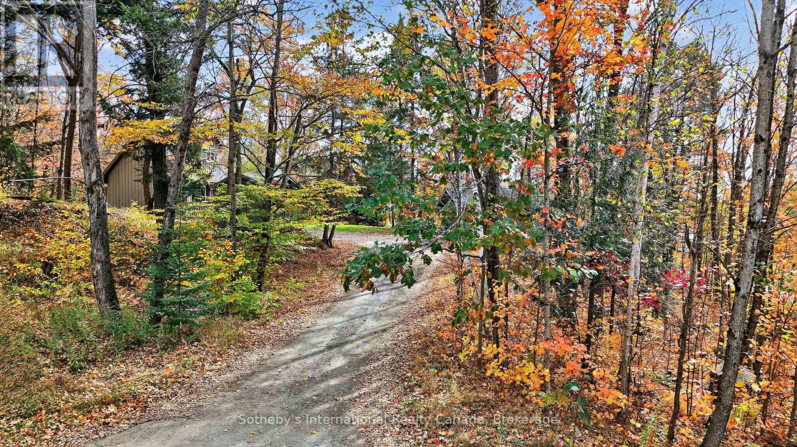 1132 Limberlost Road, Lake Of Bays, Ontario  P1H 2J6 - Photo 41 - X12468388