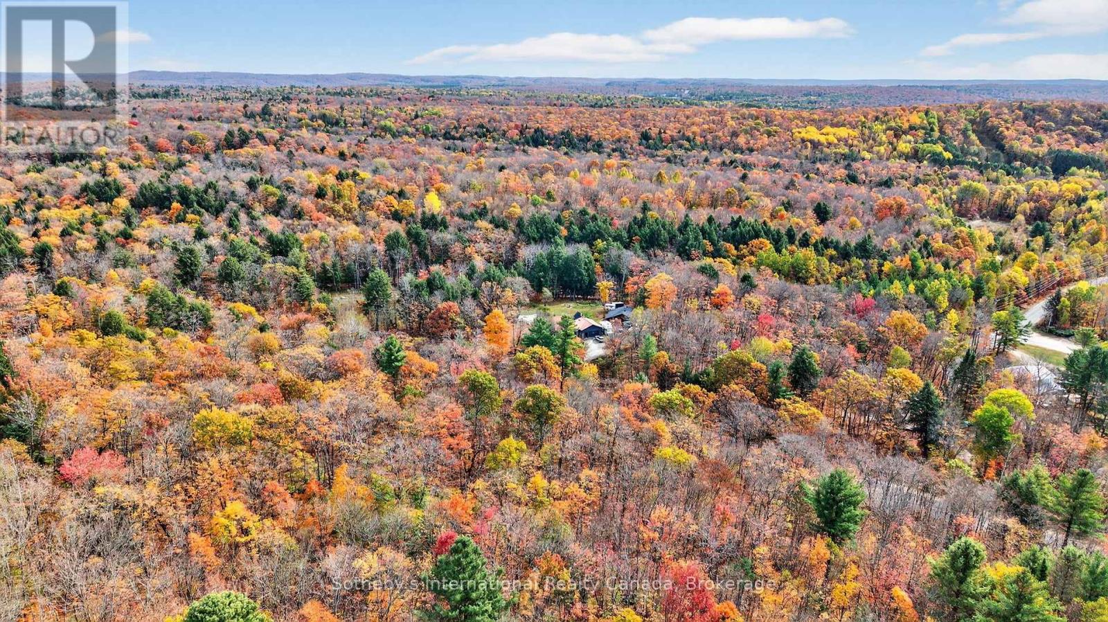1132 Limberlost Road, Lake Of Bays, Ontario  P1H 2J6 - Photo 44 - X12468388