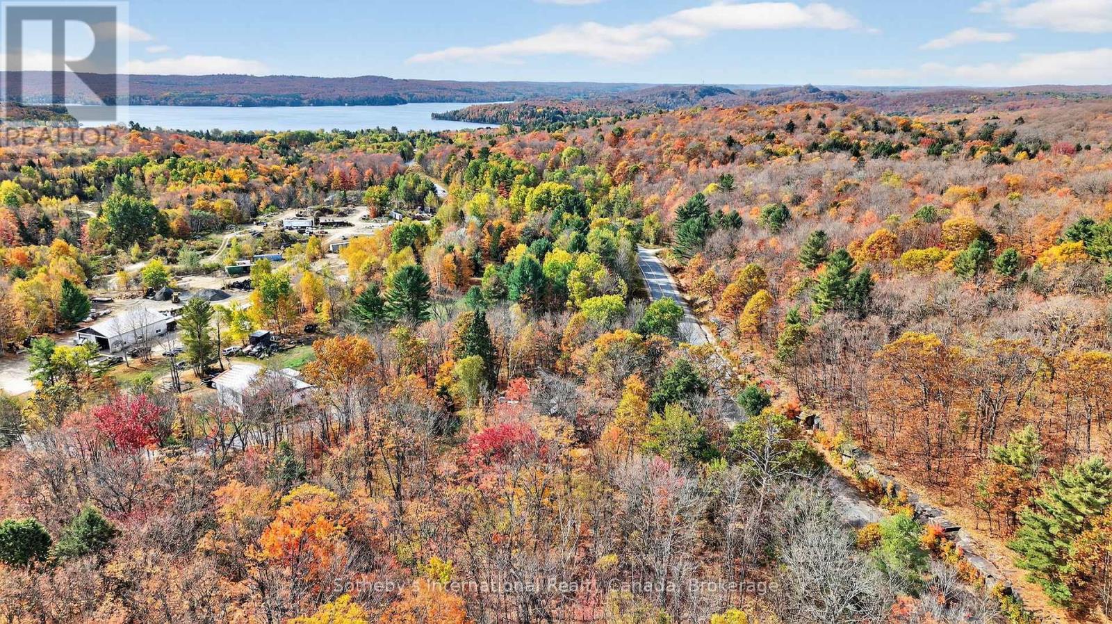 1132 Limberlost Road, Lake Of Bays, Ontario  P1H 2J6 - Photo 46 - X12468388