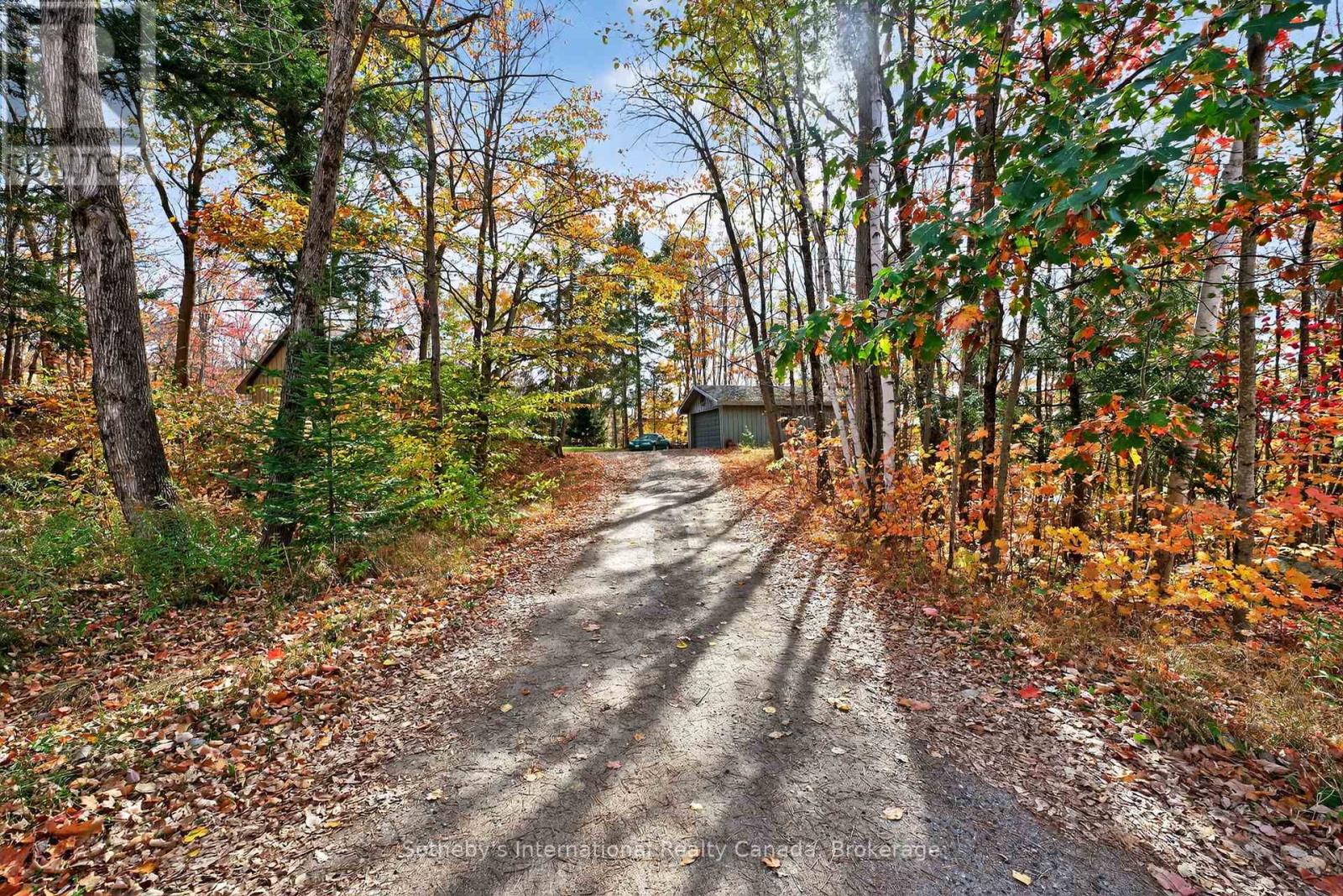 1132 Limberlost Road, Lake Of Bays, Ontario  P1H 2J6 - Photo 6 - X12468388