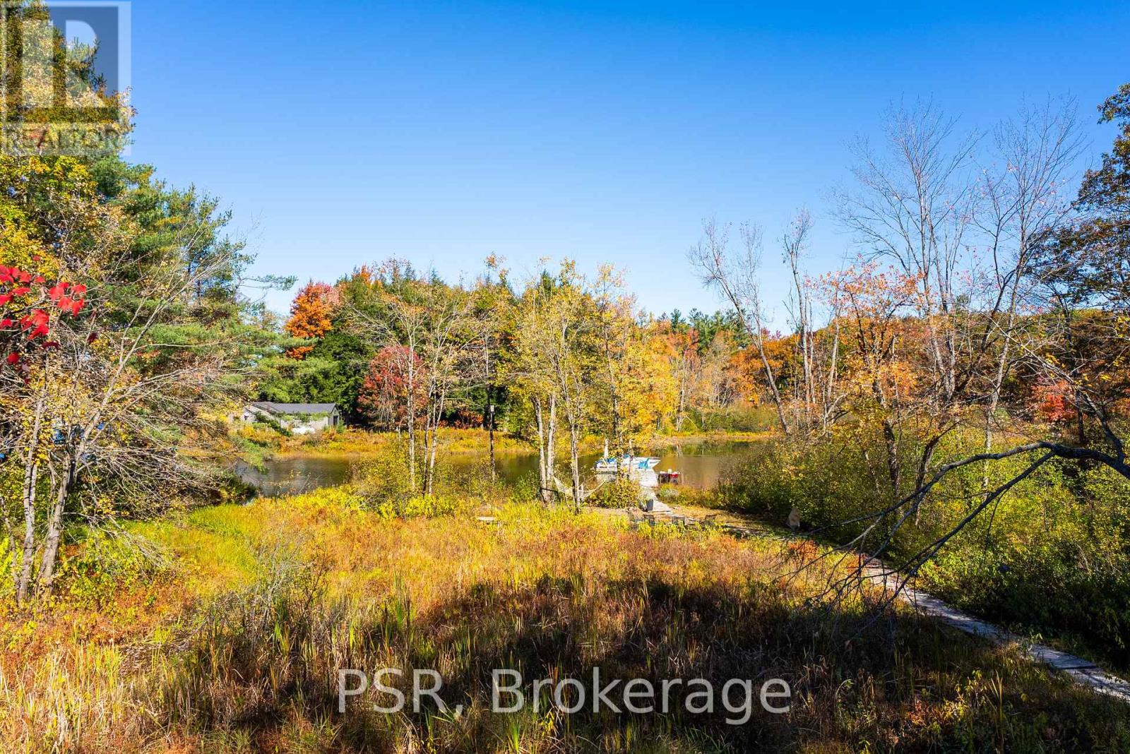 1194 Muskoka Road 38, Muskoka Lakes, Ontario  P0C 1A0 - Photo 6 - X12469445