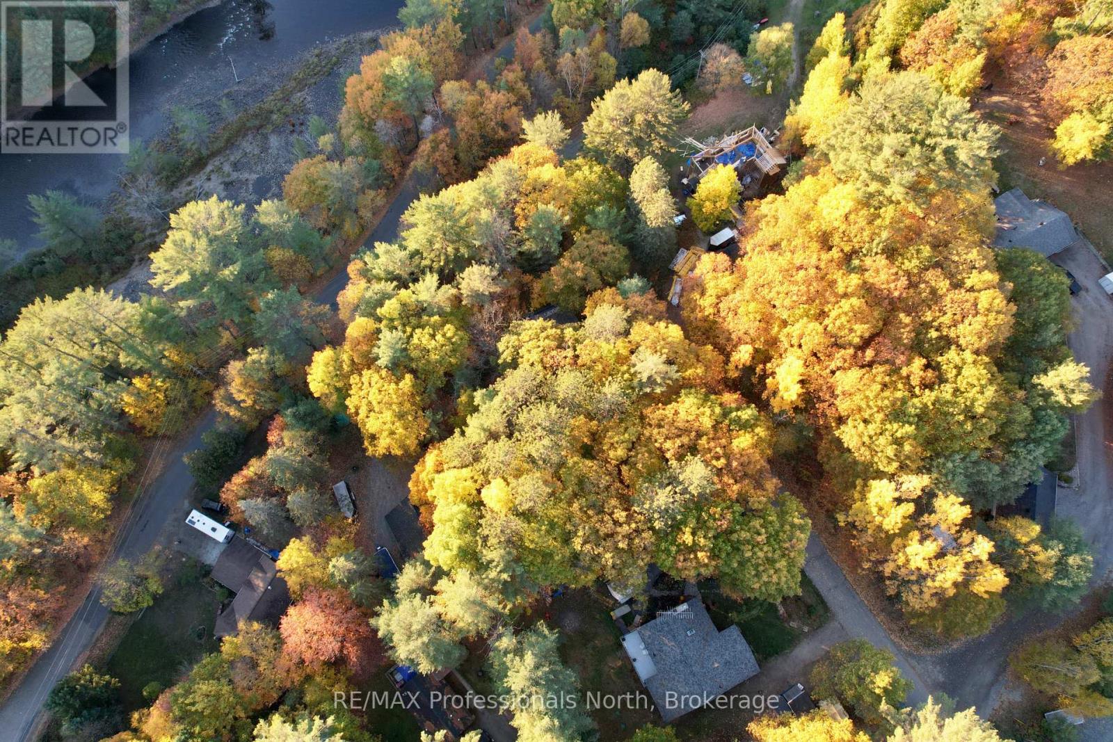 31 Falls View Road, Huntsville, Ontario  P0B 1L0 - Photo 7 - X12470334