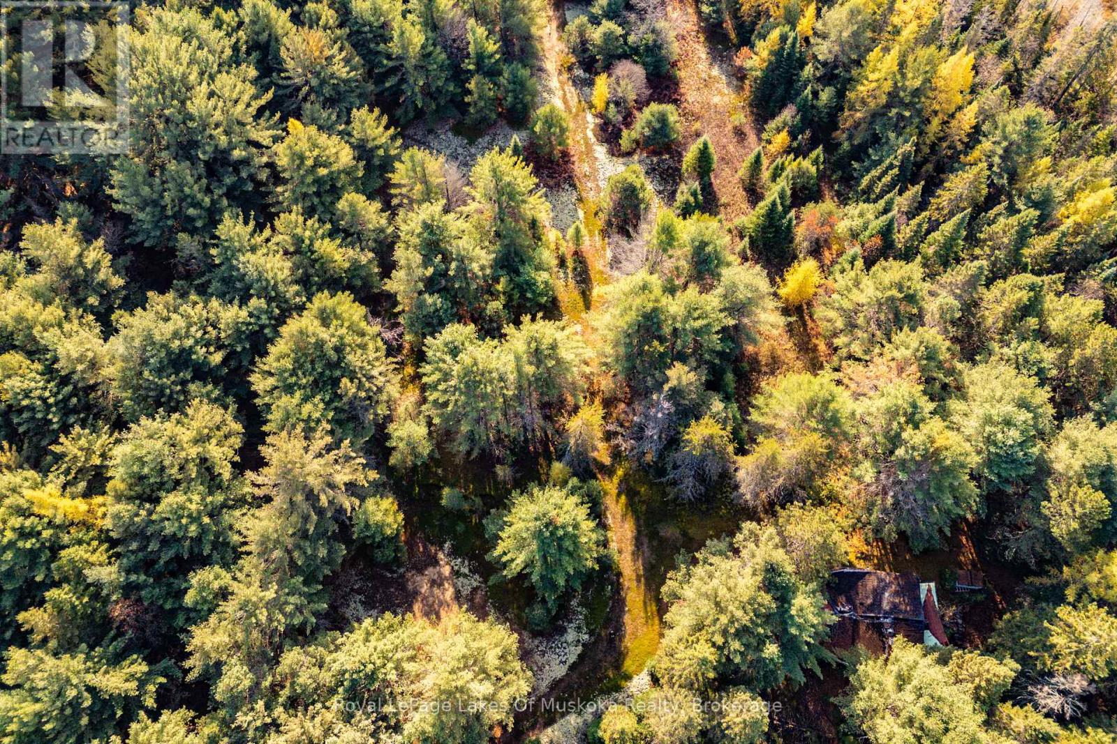 267 & 321 Cardwell Lake Road, Huntsville, Ontario  P0B 1M0 - Photo 11 - X12471427