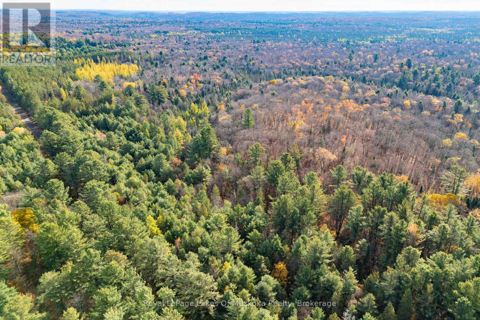 267 & 321 Cardwell Lake Road, Huntsville, Ontario  P0B 1M0 - Photo 12 - X12471427