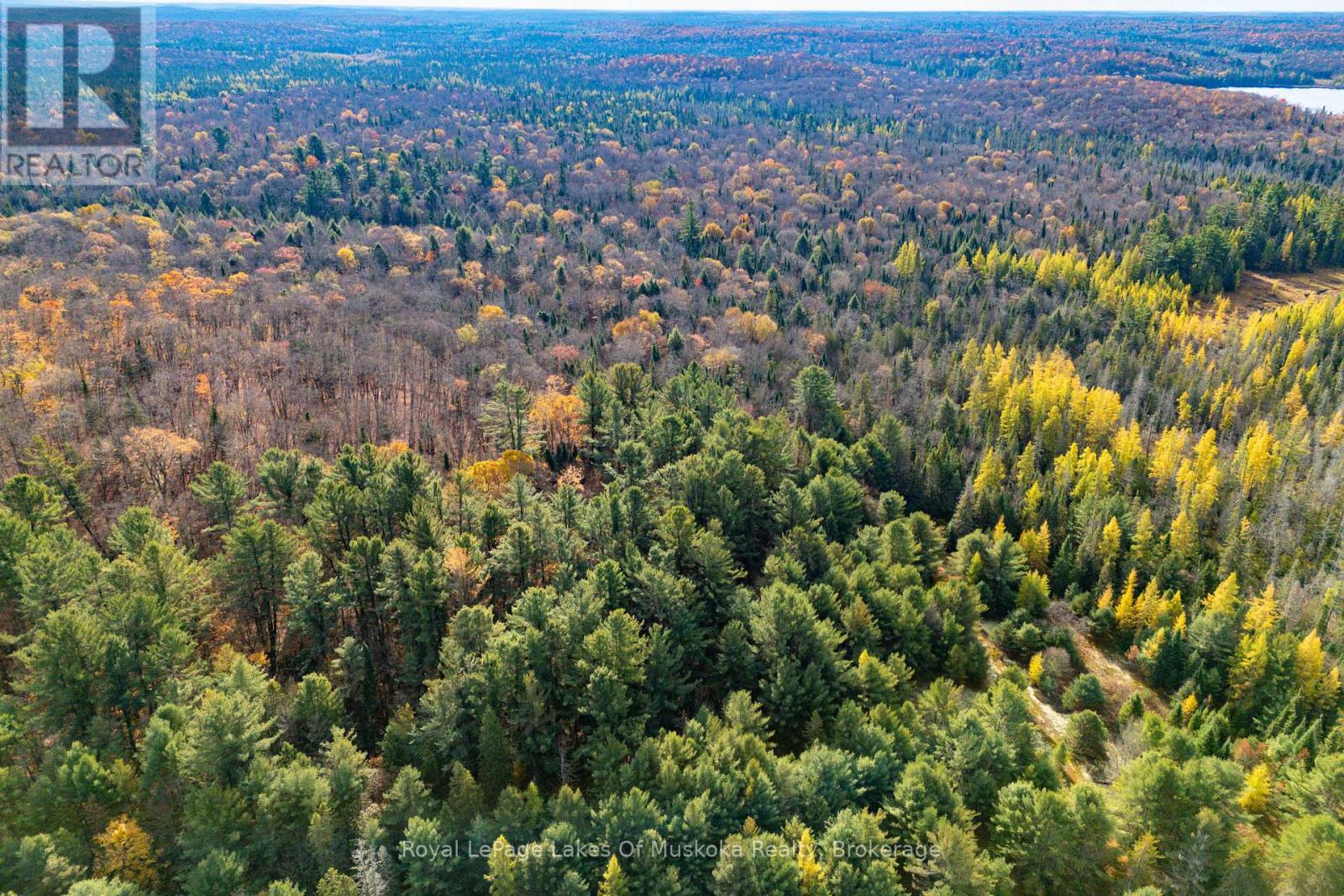 267 & 321 Cardwell Lake Road, Huntsville, Ontario  P0B 1M0 - Photo 13 - X12471427