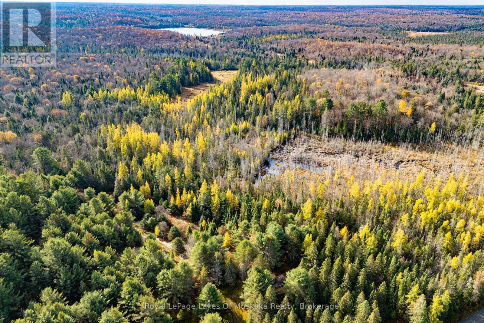 267 & 321 Cardwell Lake Road, Huntsville, Ontario  P0B 1M0 - Photo 15 - X12471427