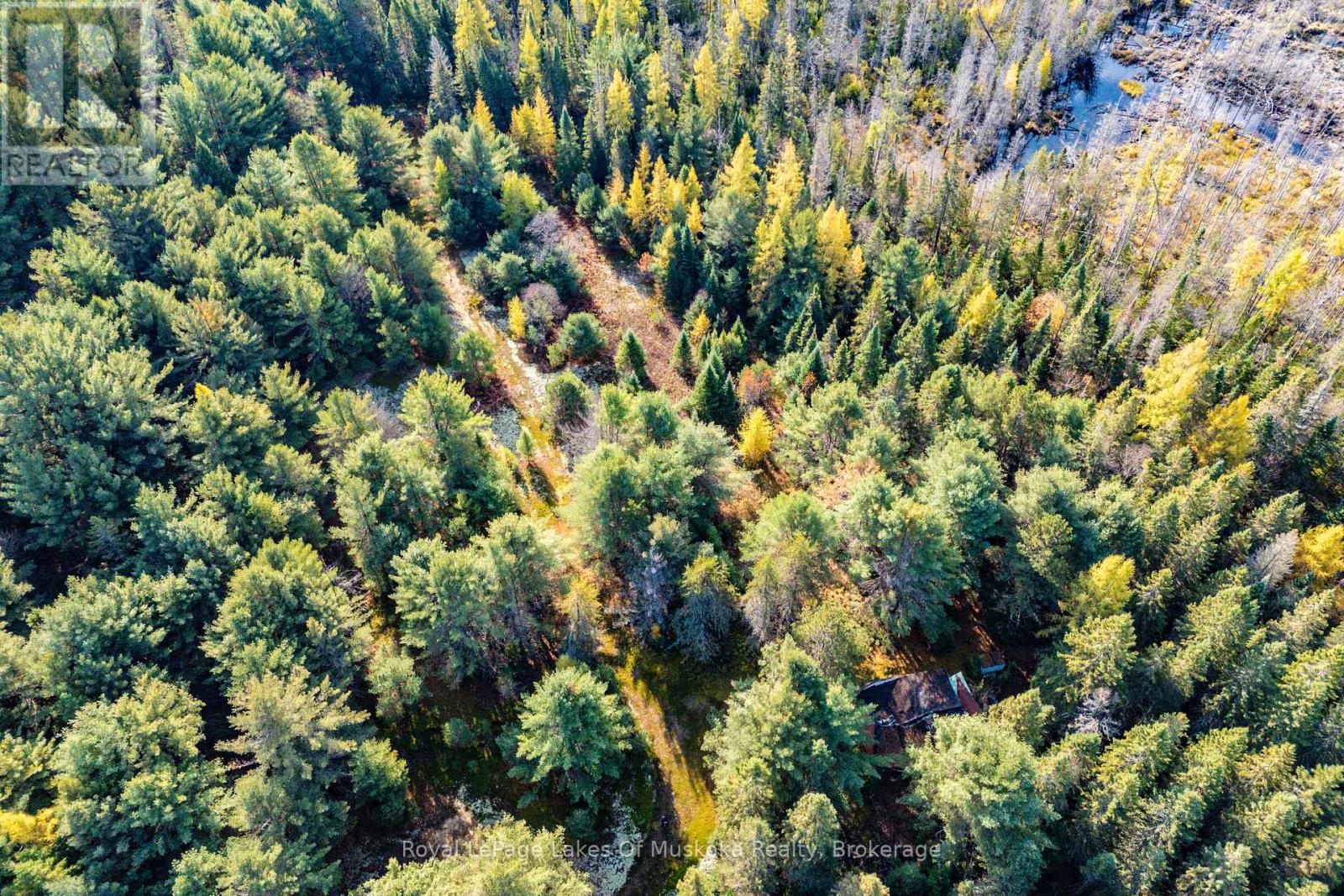 267 & 321 Cardwell Lake Road, Huntsville, Ontario  P0B 1M0 - Photo 16 - X12471427