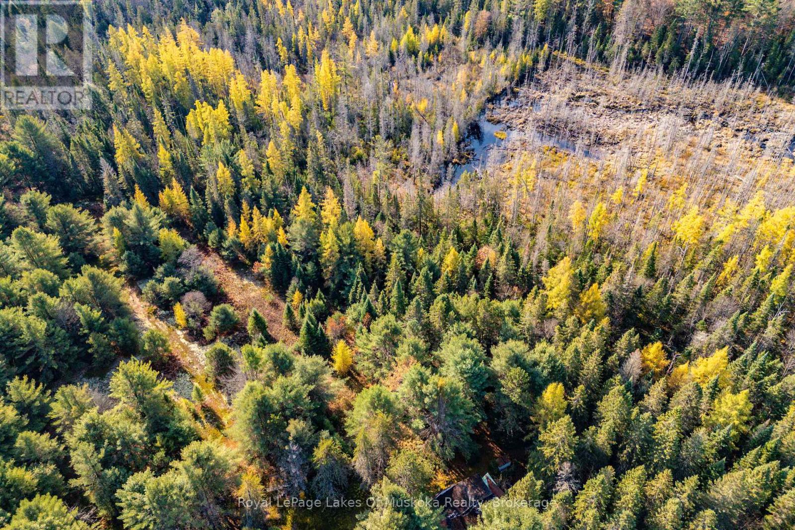 267 & 321 Cardwell Lake Road, Huntsville, Ontario  P0B 1M0 - Photo 18 - X12471427