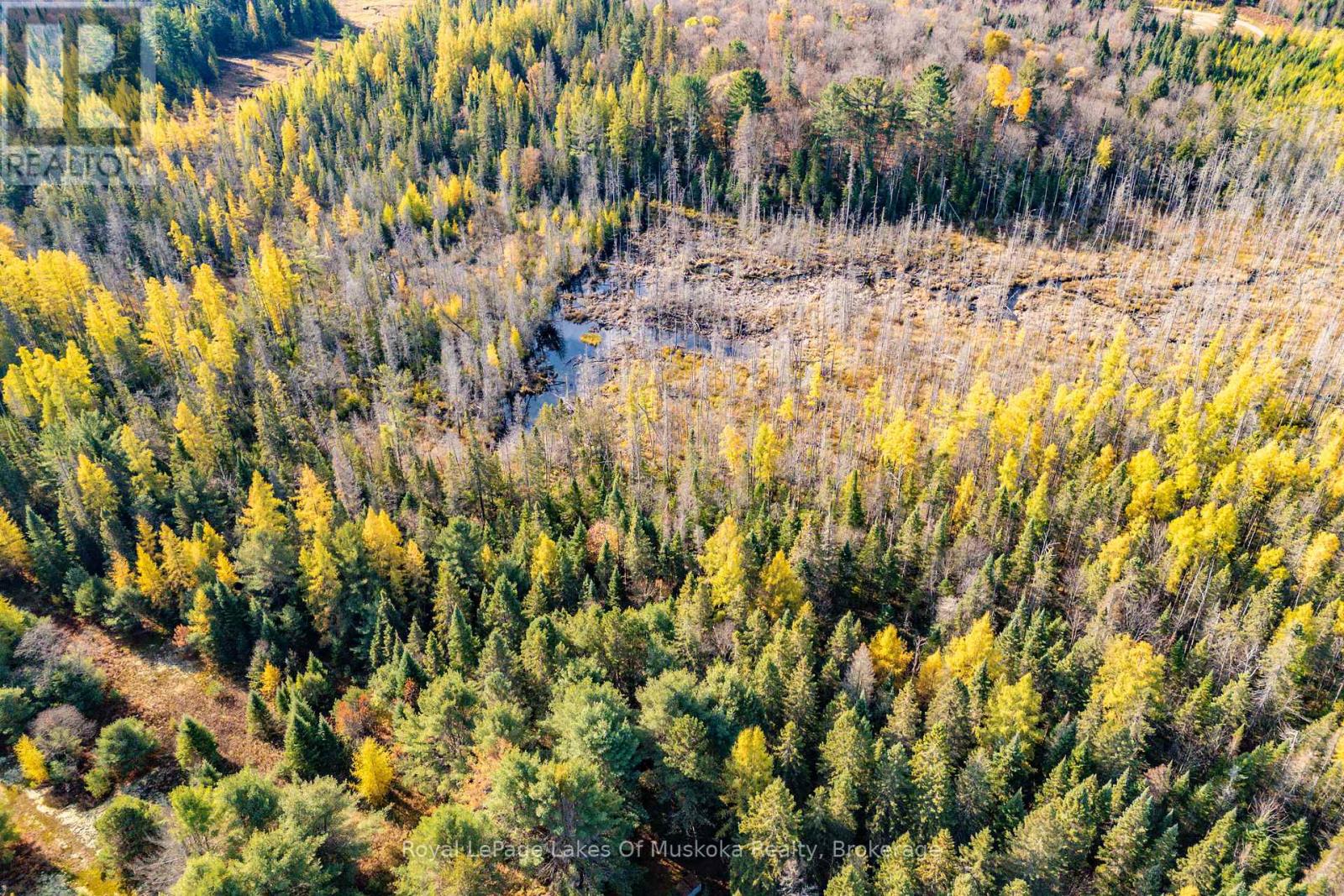 267 & 321 Cardwell Lake Road, Huntsville, Ontario  P0B 1M0 - Photo 19 - X12471427