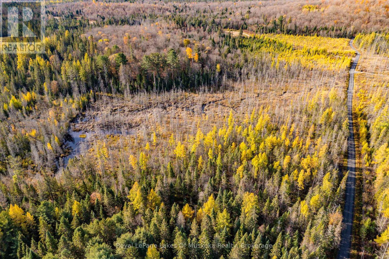 267 & 321 Cardwell Lake Road, Huntsville, Ontario  P0B 1M0 - Photo 20 - X12471427