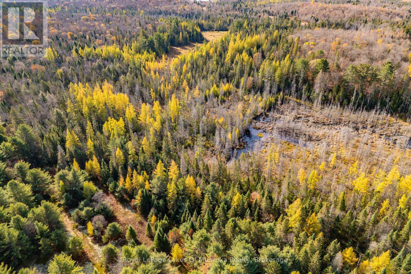 267 & 321 Cardwell Lake Road, Huntsville, Ontario  P0B 1M0 - Photo 21 - X12471427