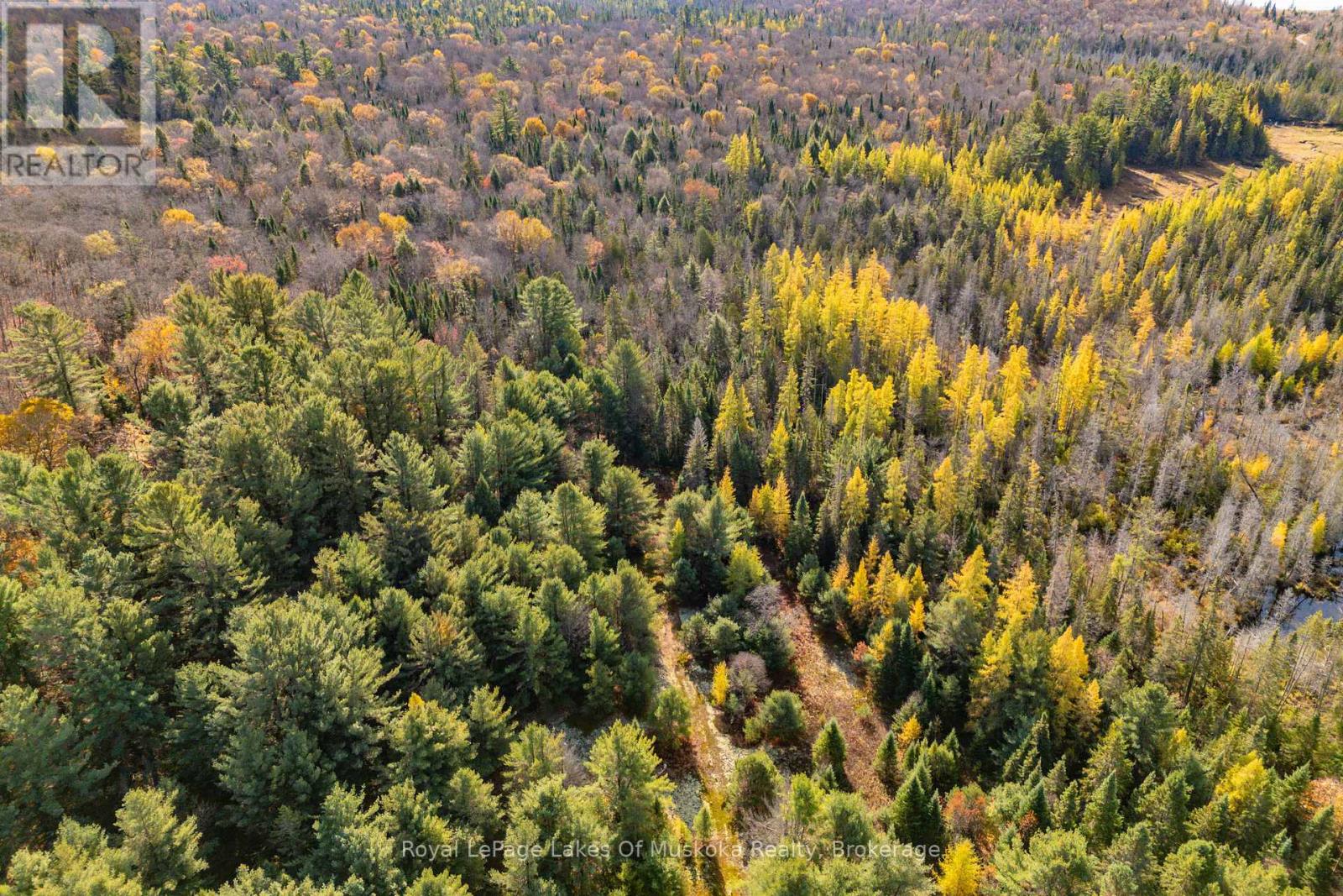 267 & 321 Cardwell Lake Road, Huntsville, Ontario  P0B 1M0 - Photo 22 - X12471427