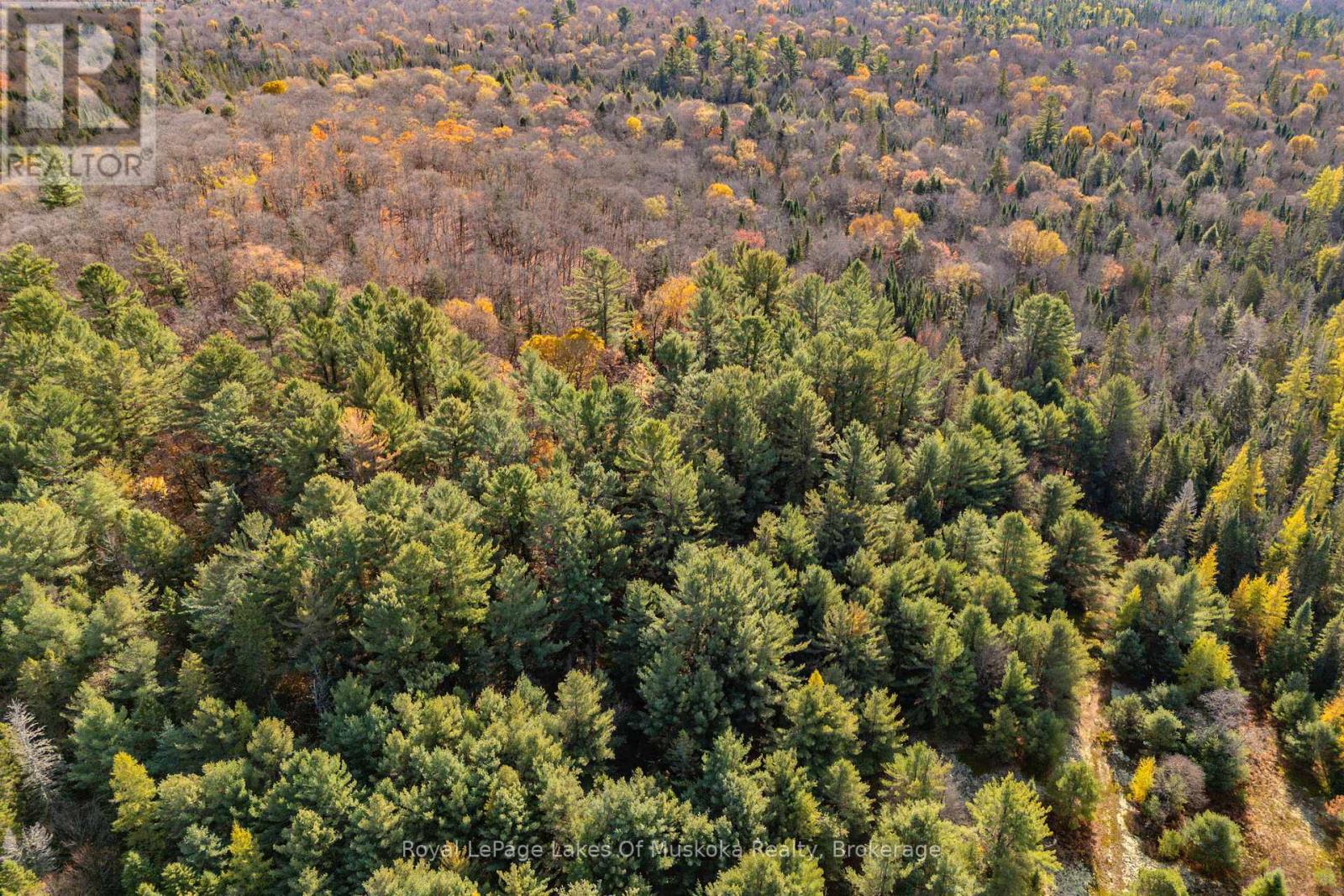 267 & 321 Cardwell Lake Road, Huntsville, Ontario  P0B 1M0 - Photo 23 - X12471427