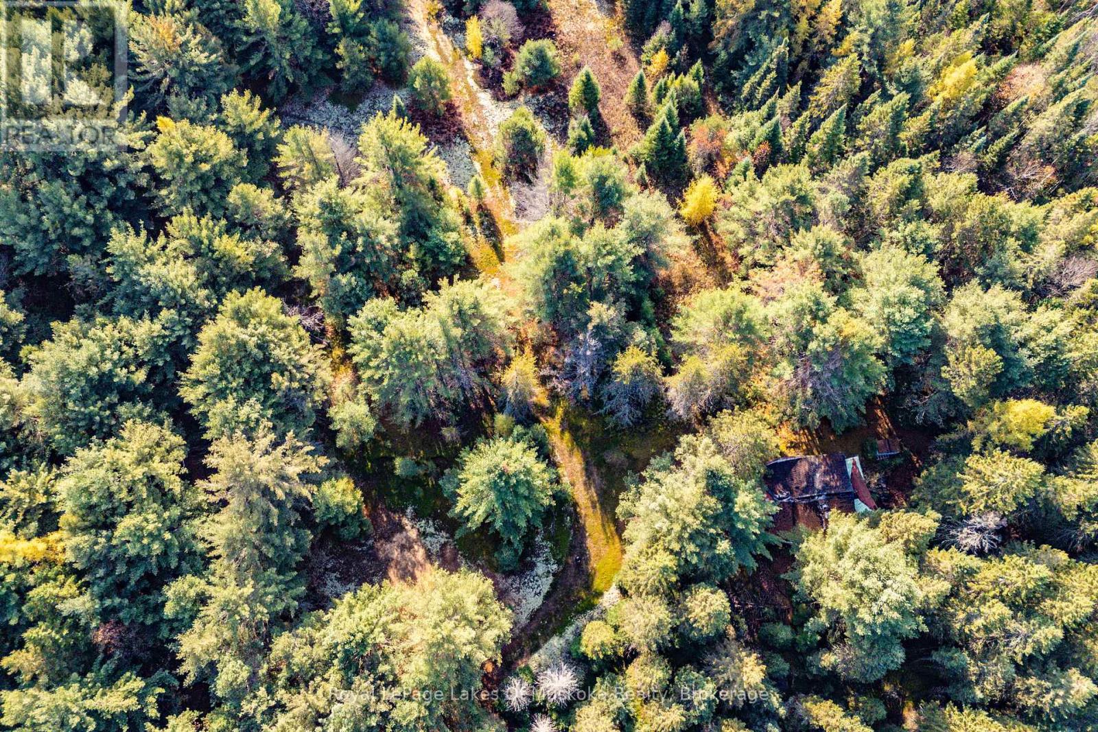 267 & 321 Cardwell Lake Road, Huntsville, Ontario  P0B 1M0 - Photo 25 - X12471427