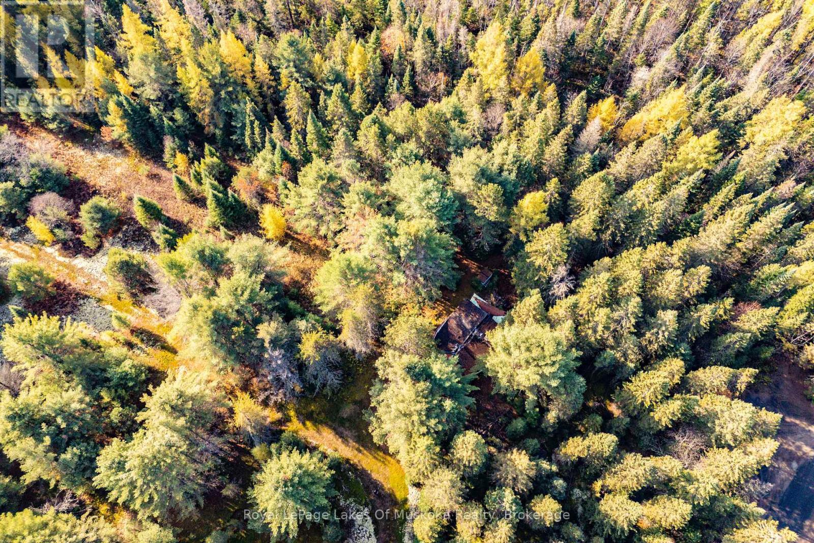 267 & 321 Cardwell Lake Road, Huntsville, Ontario  P0B 1M0 - Photo 26 - X12471427