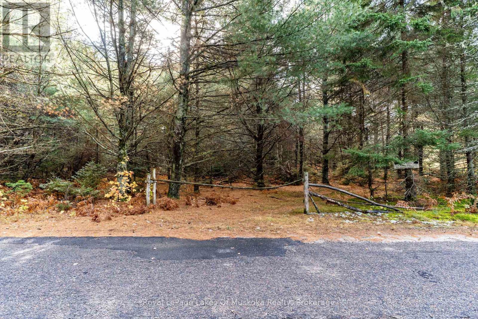 267 & 321 Cardwell Lake Road, Huntsville, Ontario  P0B 1M0 - Photo 27 - X12471427