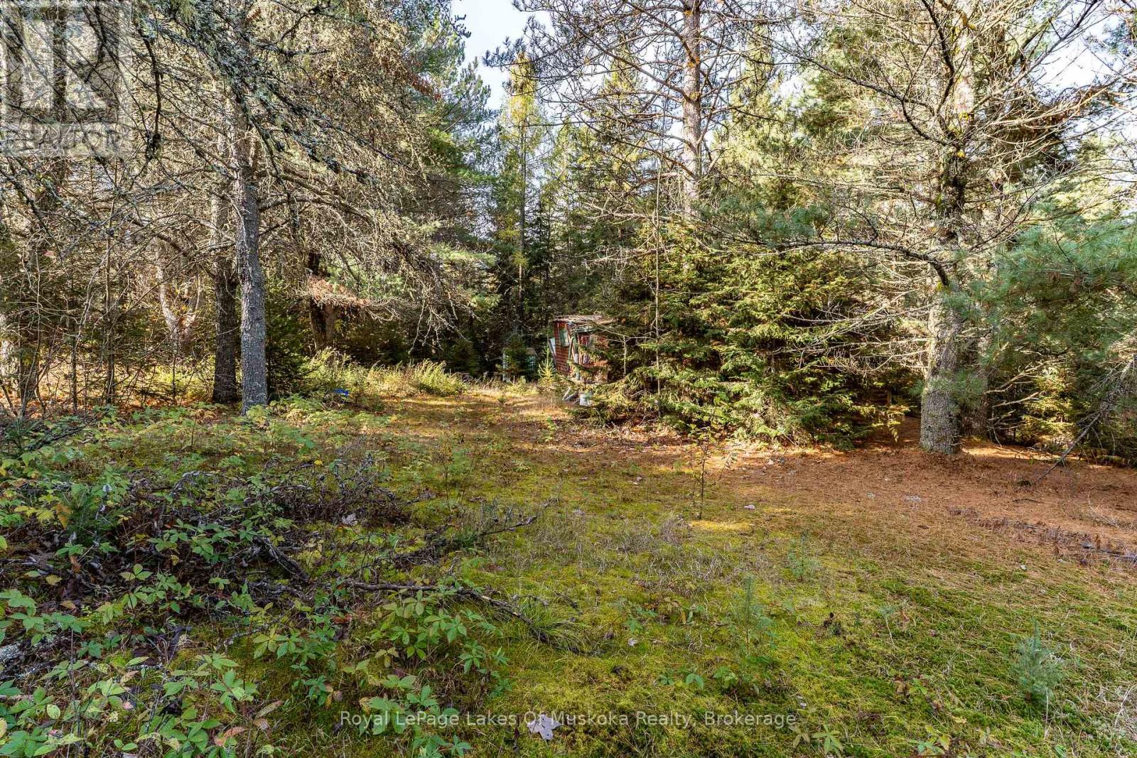 267 & 321 Cardwell Lake Road, Huntsville, Ontario  P0B 1M0 - Photo 30 - X12471427