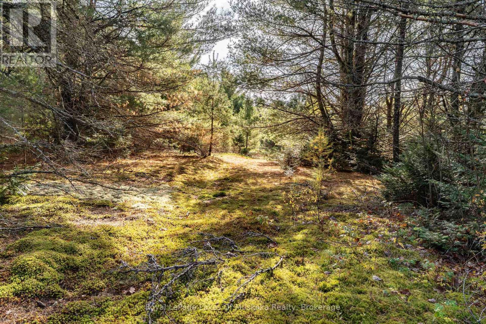 267 & 321 Cardwell Lake Road, Huntsville, Ontario  P0B 1M0 - Photo 32 - X12471427