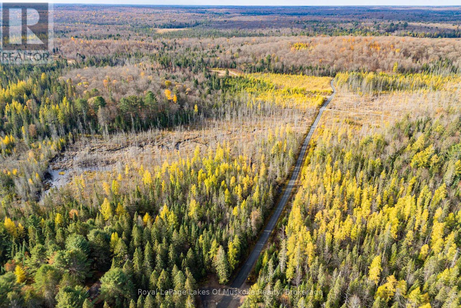 267 & 321 Cardwell Lake Road, Huntsville, Ontario  P0B 1M0 - Photo 4 - X12471427