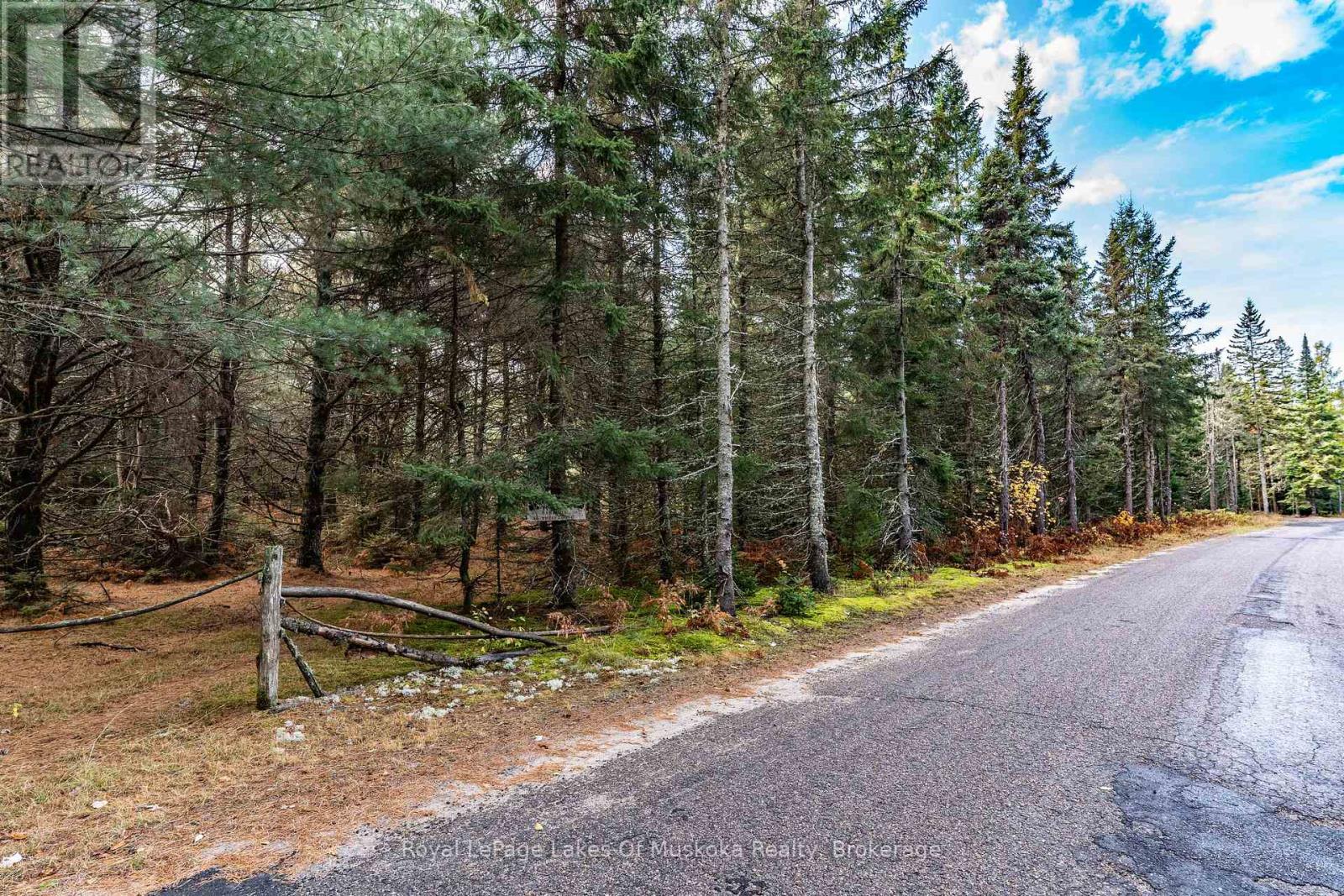 267 & 321 Cardwell Lake Road, Huntsville, Ontario  P0B 1M0 - Photo 6 - X12471427