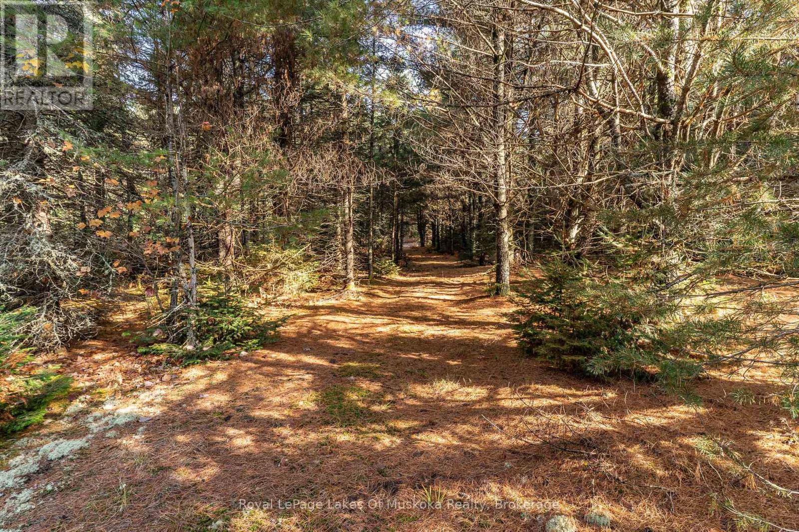 267 & 321 Cardwell Lake Road, Huntsville, Ontario  P0B 1M0 - Photo 9 - X12471427