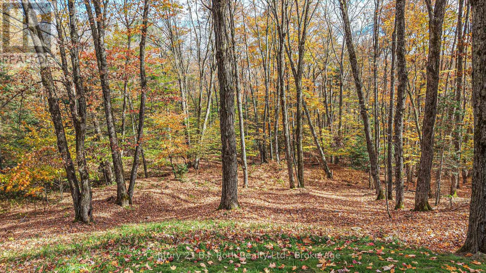 691 South Waseosa Lake Road, Huntsville, Ontario  P1H 2N5 - Photo 49 - X12473164