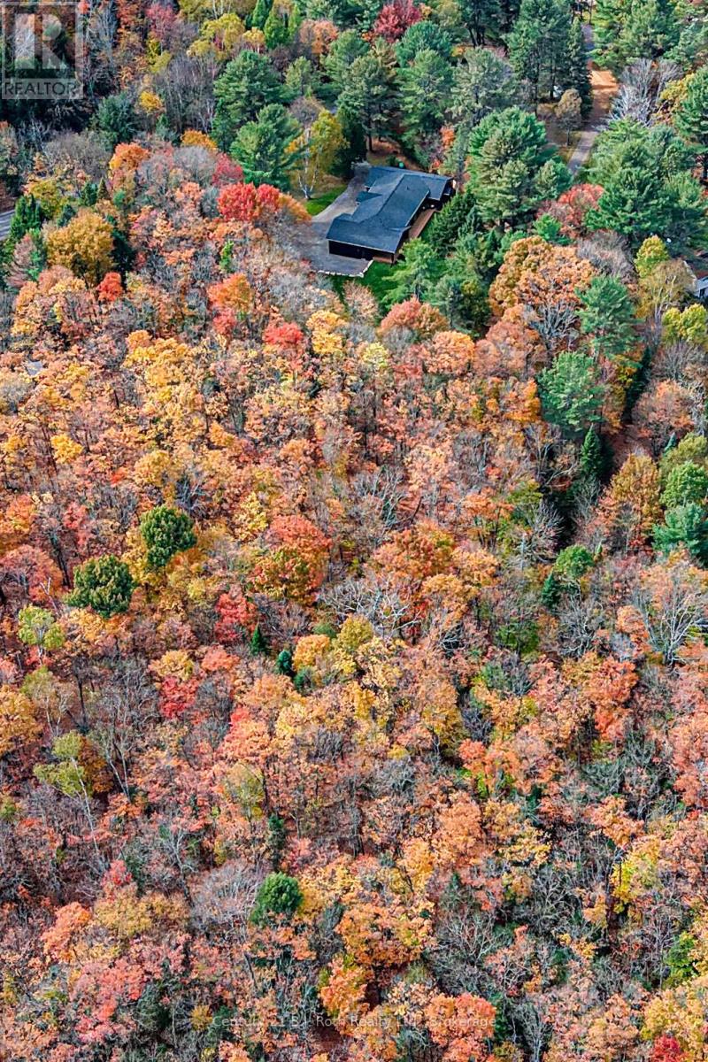 691 South Waseosa Lake Road, Huntsville, Ontario  P1H 2N5 - Photo 6 - X12473164