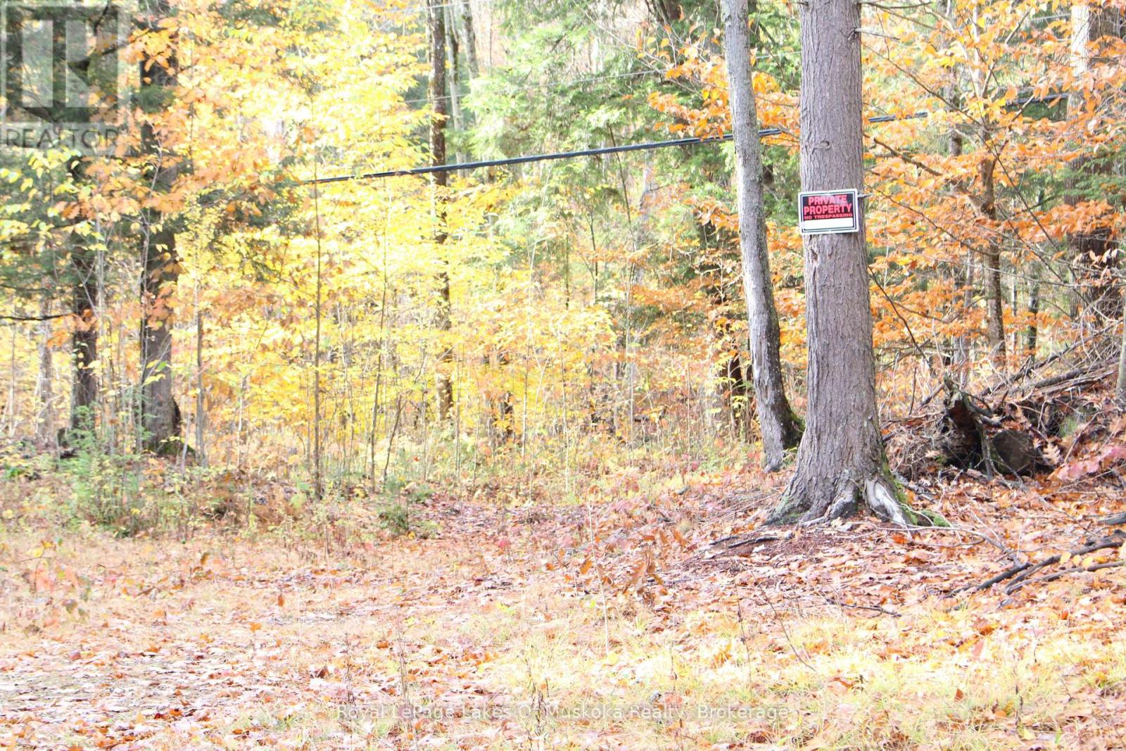 4120 South Portage Road, Huntsville, Ontario  P1H 2J3 - Photo 10 - X12478887