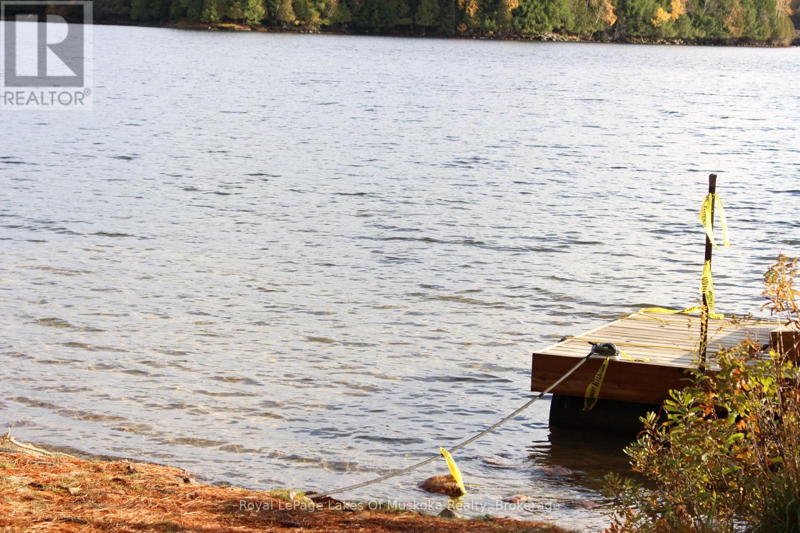 4120 South Portage Road, Huntsville, Ontario  P1H 2J3 - Photo 12 - X12478887