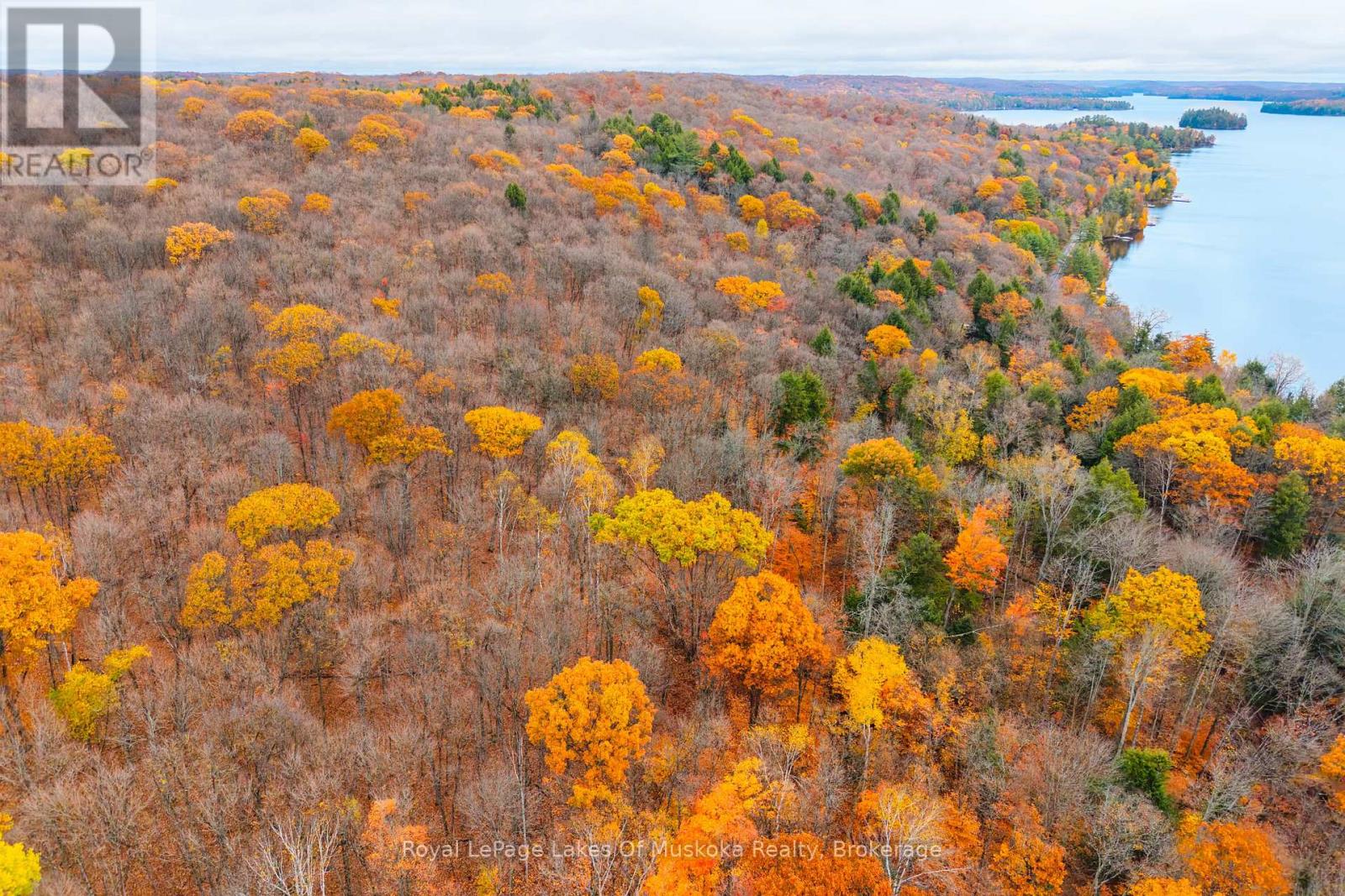 4120 South Portage Road, Huntsville, Ontario  P1H 2J3 - Photo 7 - X12478887