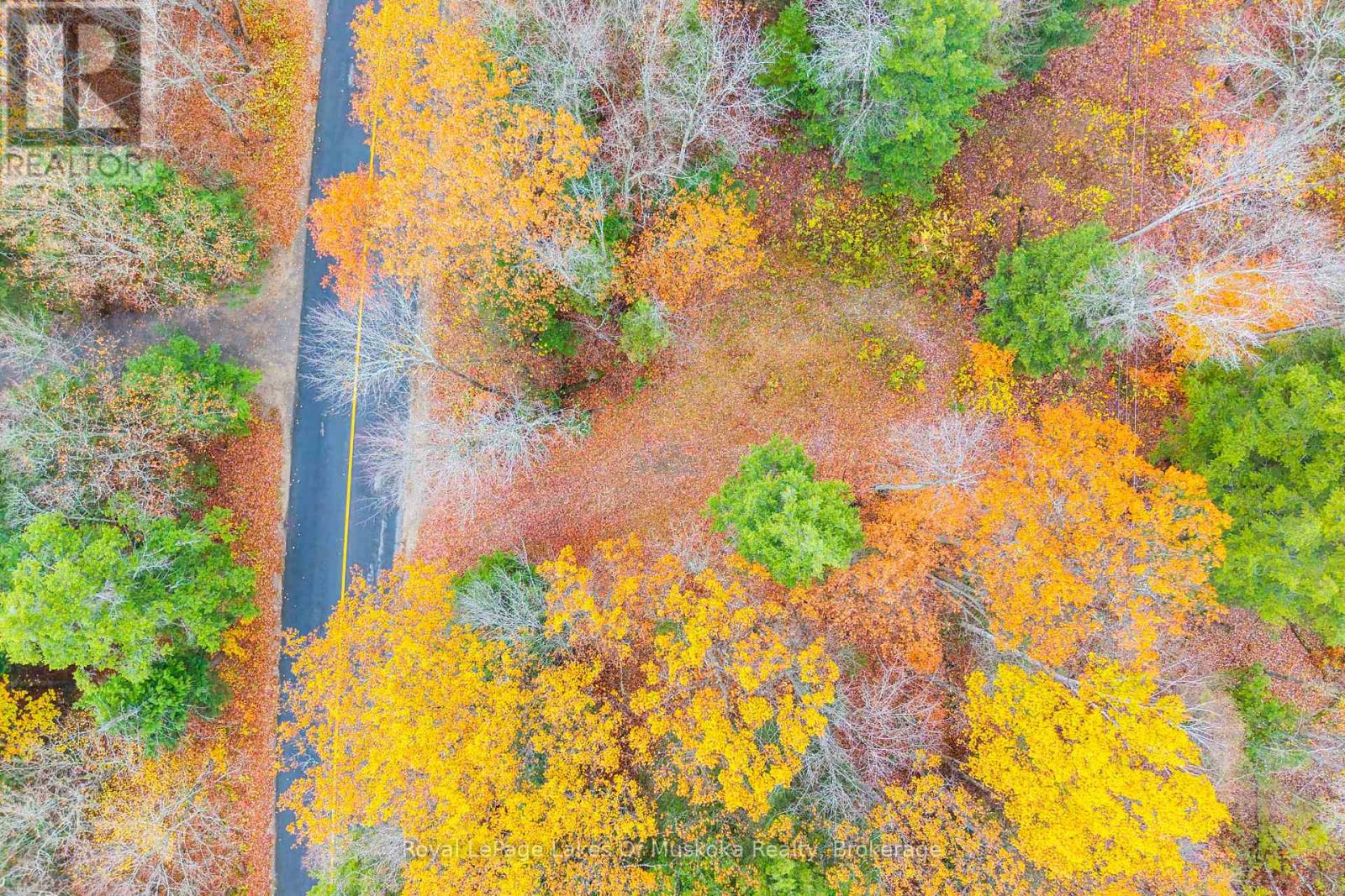 4120 South Portage Road, Huntsville, Ontario  P1H 2J3 - Photo 9 - X12478887