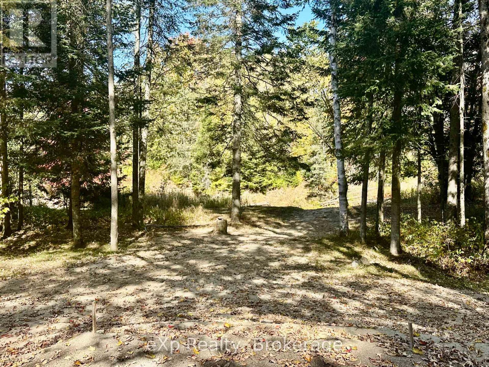 61 Robert Road W, Huntsville, Ontario  P1H 1L4 - Photo 10 - X12479184