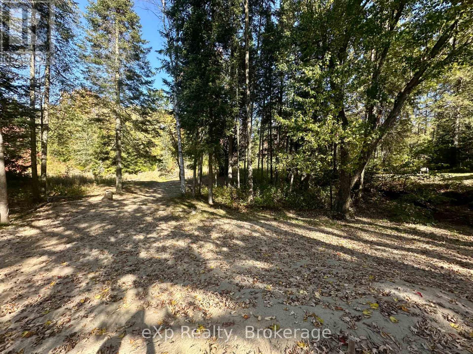 61 Robert Road W, Huntsville, Ontario  P1H 1L4 - Photo 9 - X12479184