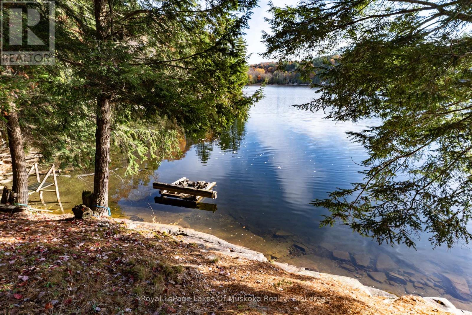 1 - 1060 Skeleton Lake 3 Road, Muskoka Lakes, Ontario  P0B 1M0 - Photo 41 - X12482633