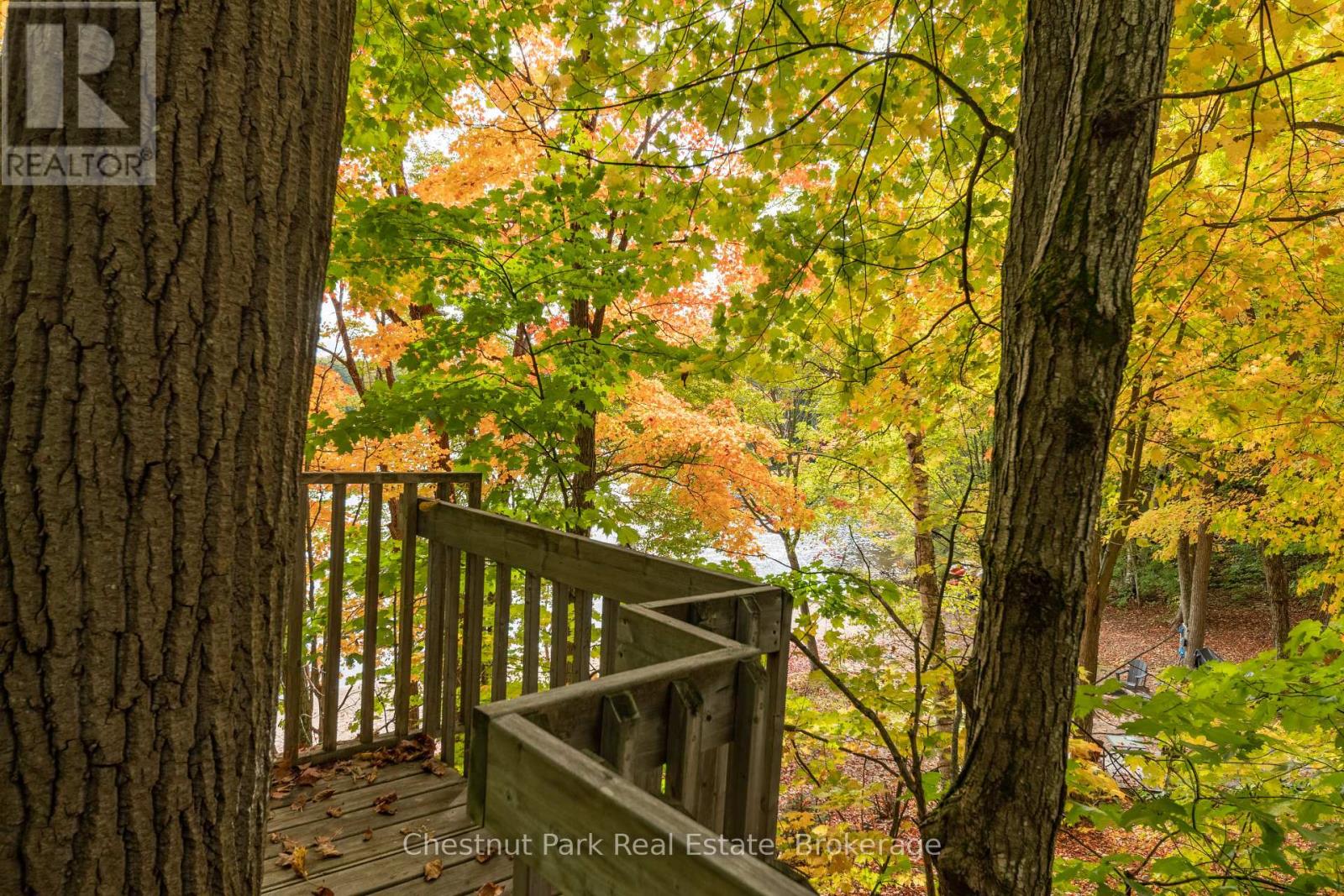 305 Salmon Lake Road, Seguin, Ontario  P2A 0B2 - Photo 32 - X12483758