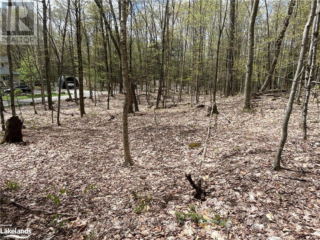 Lot 133 Brennan Circle, Huntsville, Ontario  P1H 2J3 - Photo 3 - X12483777