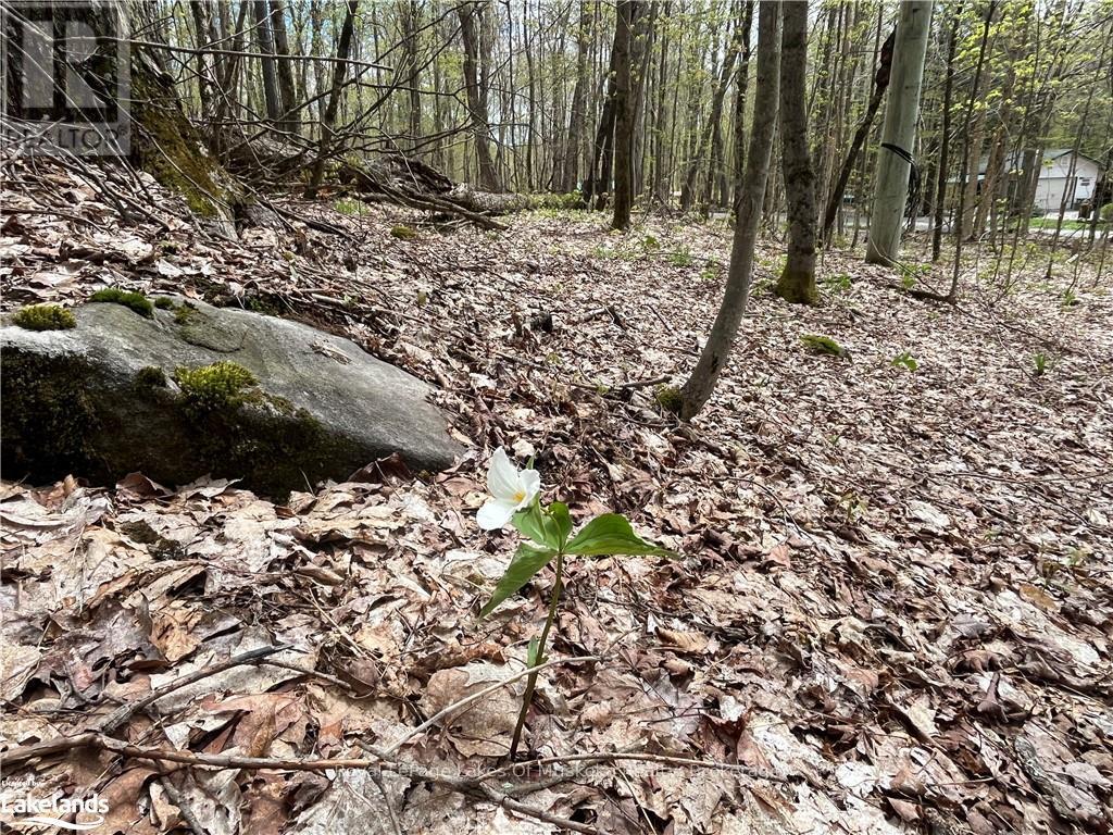 Lot 133 Brennan Circle, Huntsville, Ontario  P1H 2J3 - Photo 4 - X12483777