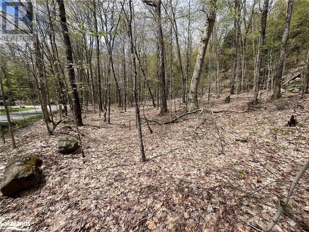 Lot 133 Brennan Circle, Huntsville, Ontario  P1H 2J3 - Photo 7 - X12483777