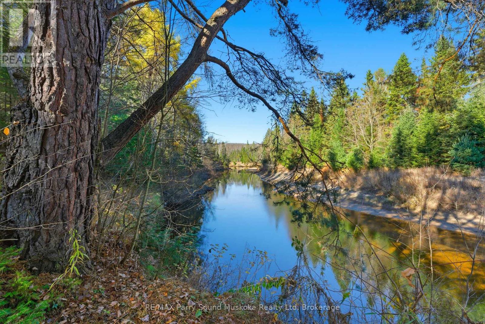 39 Groeger Road, Huntsville, Ontario  P1H 2J4 - Photo 42 - X12494270