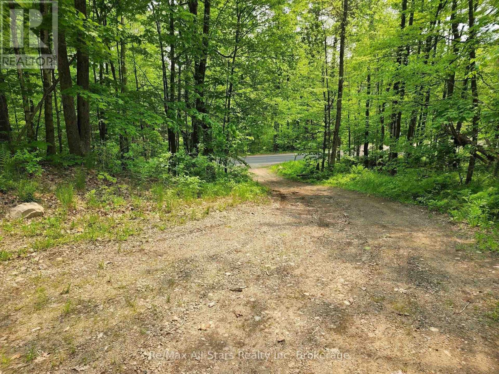 1028 Ronville Road, Lake Of Bays, Ontario  P0A 1H0 - Photo 6 - X12498840