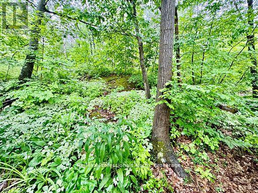 45 - 1007 Racoon Road, Gravenhurst, Ontario  P1P 1R1 - Photo 21 - X12508940