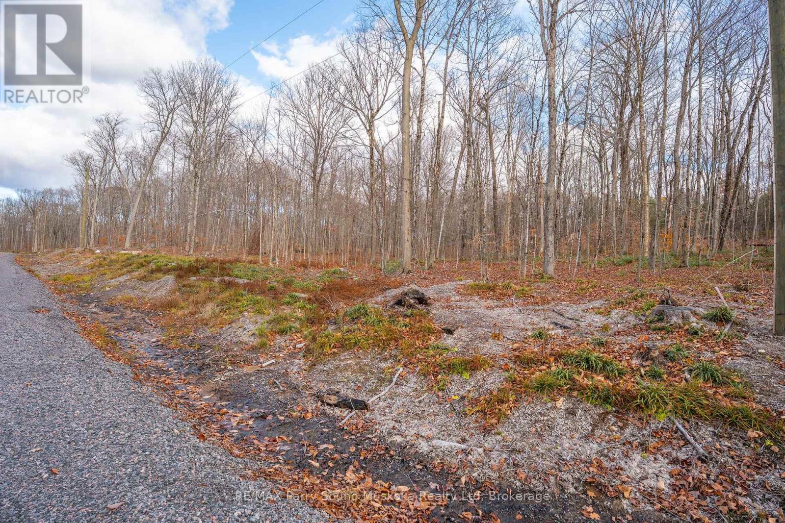 Part 19 Standing People Road, Seguin, Ontario  P2A 2W8 - Photo 11 - X12509364