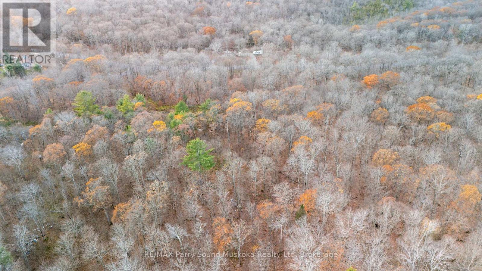 Part 19 Standing People Road, Seguin, Ontario  P2A 2W8 - Photo 6 - X12509364